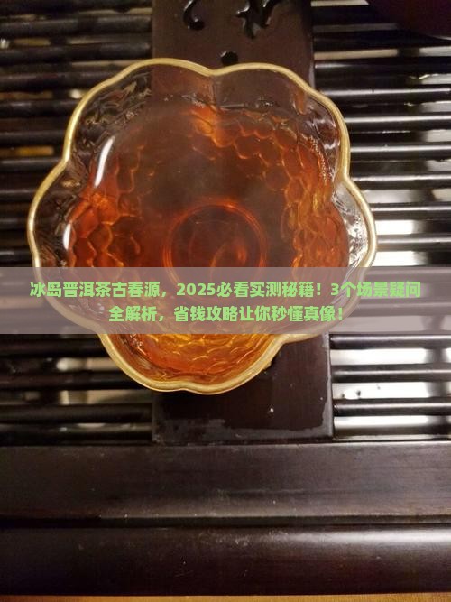 冰岛普洱茶古春源