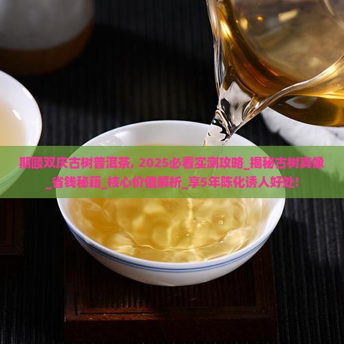 期颐双庆古树普洱茶