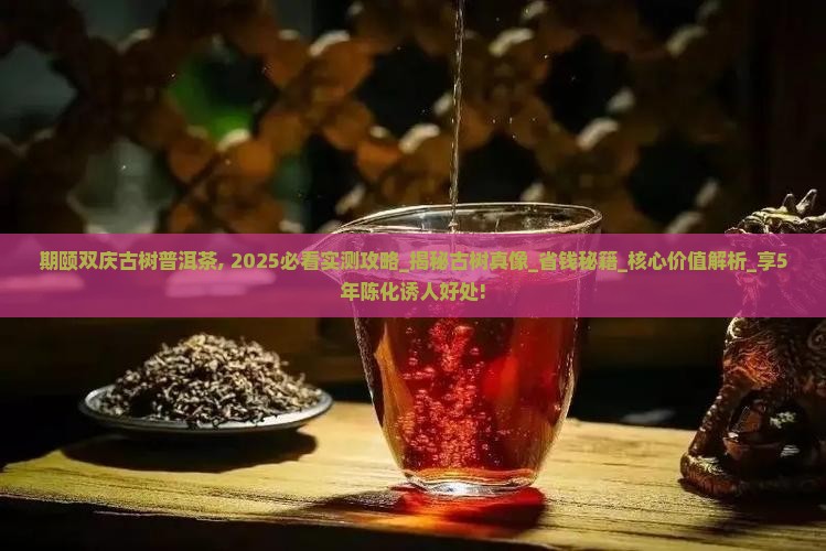 期颐双庆古树普洱茶
