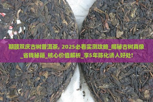 期颐双庆古树普洱茶
