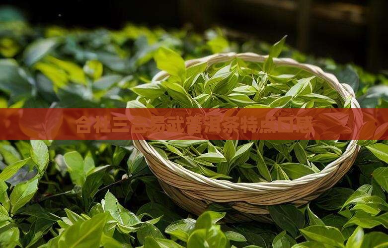 三合社普洱茶特点口感