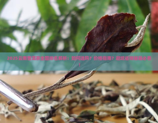 云南普洱茶在全国排名