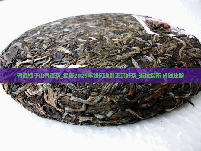普洱梅子山普洱茶