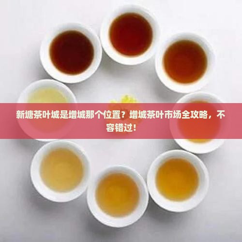 新塘茶叶城是增城那个位置