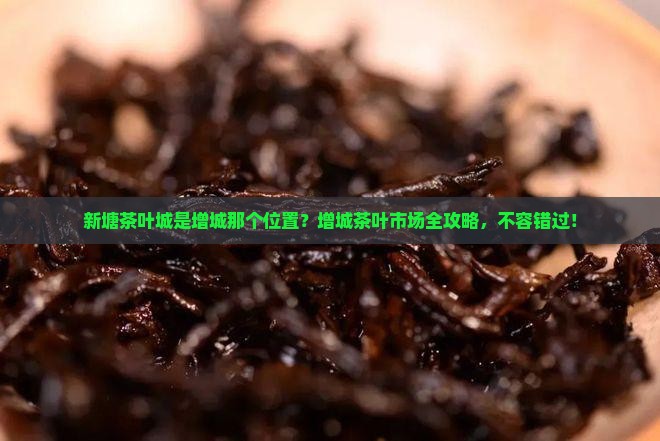 新塘茶叶城是增城那个位置