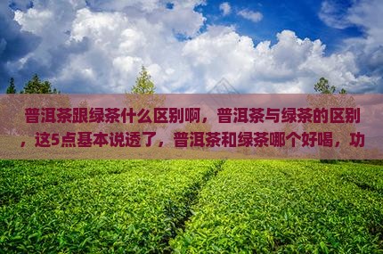普洱茶跟绿茶什么区别啊