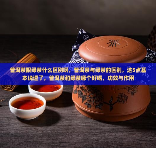 普洱茶跟绿茶什么区别啊