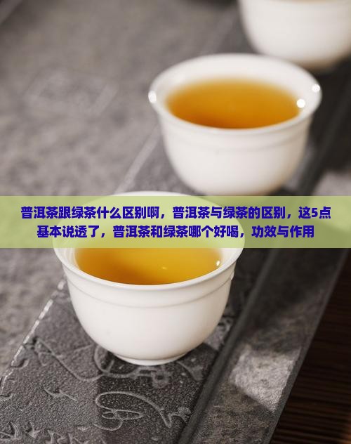 普洱茶跟绿茶什么区别啊