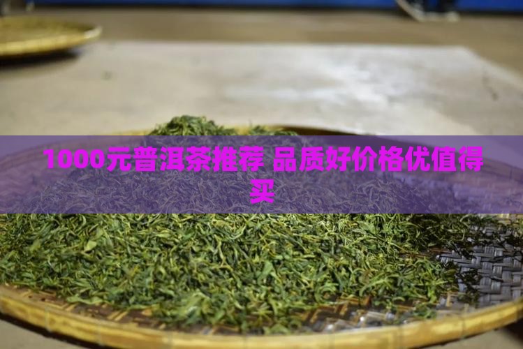 1000元普洱茶推荐