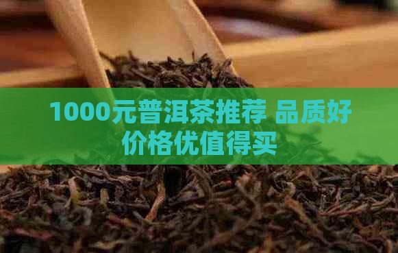 1000元普洱茶推荐