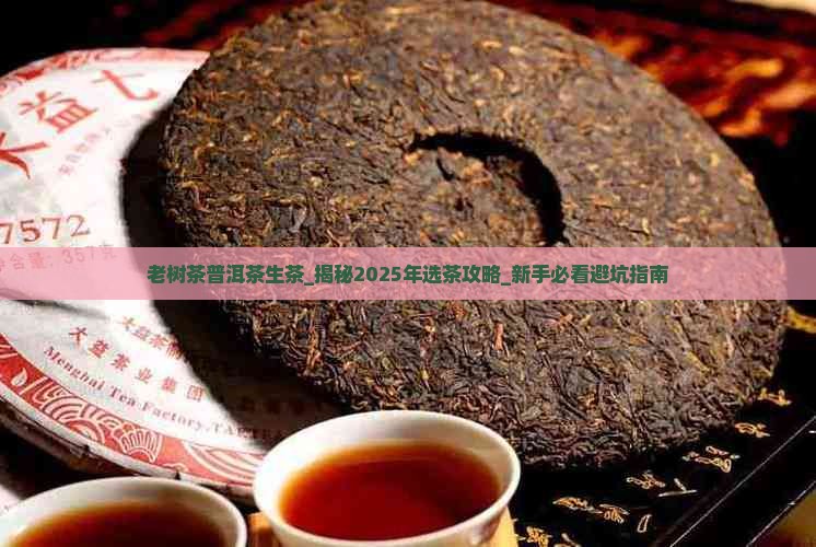老树茶普洱茶生茶