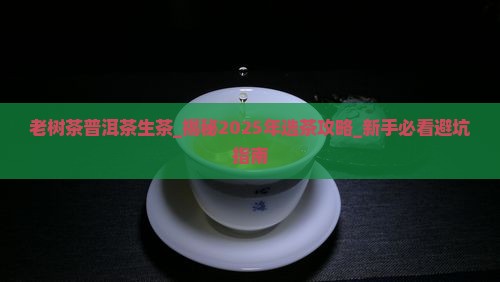 老树茶普洱茶生茶