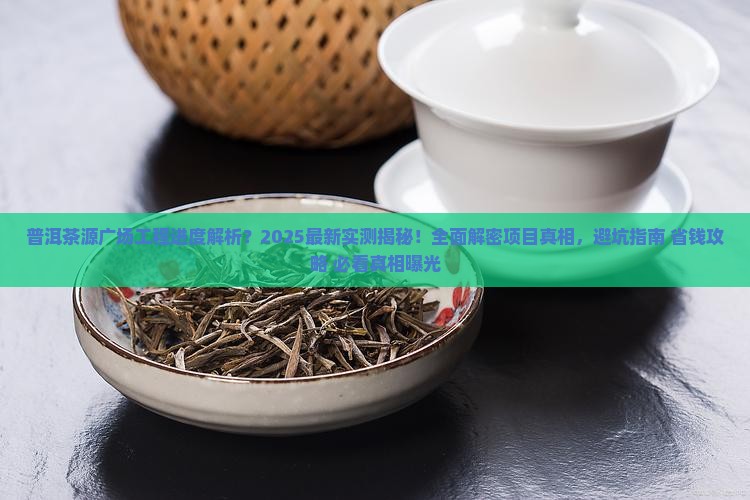 普洱茶源广场工程进度