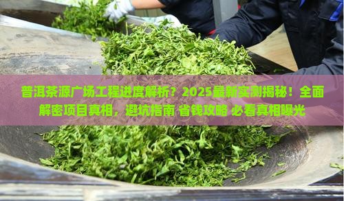 普洱茶源广场工程进度