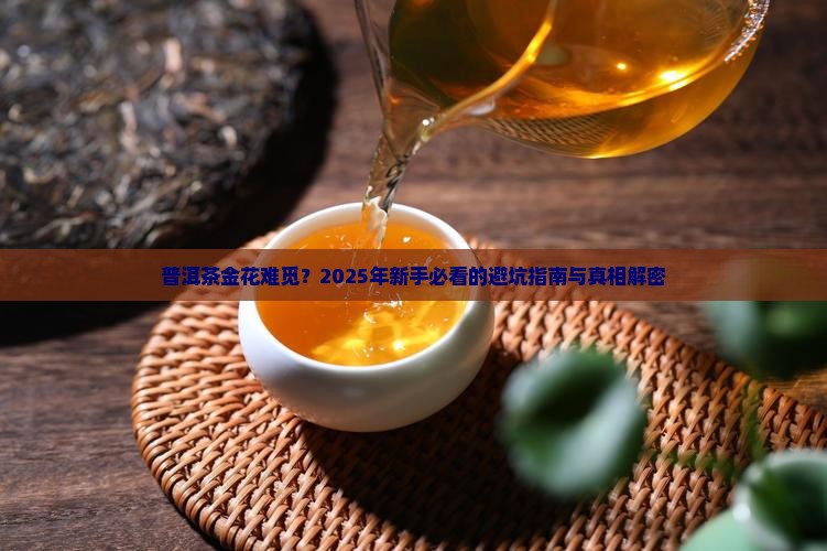 普洱茶金花难觅