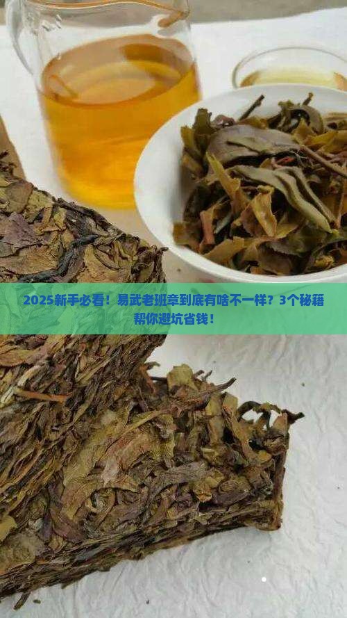 普洱易武老班章是什么意思