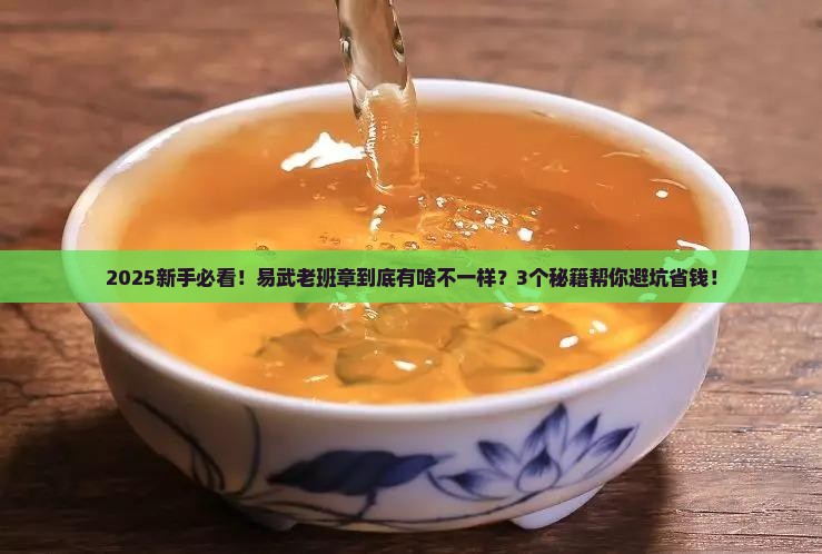 普洱易武老班章是什么意思