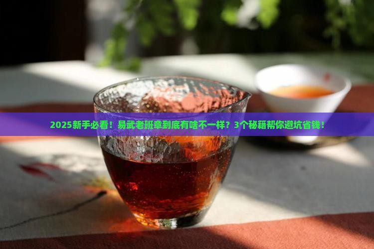 普洱易武老班章是什么意思