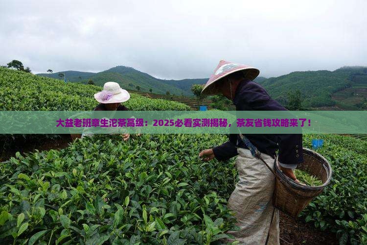 大益老班章生沱茶高级
