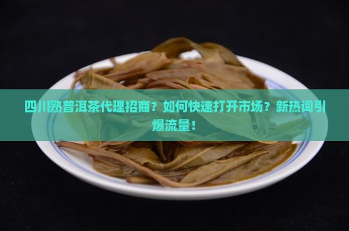 四川熟普洱茶代理招商