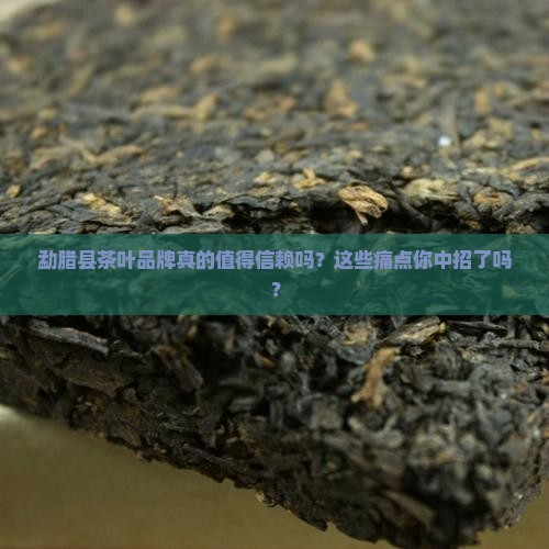勐腊县茶叶品牌