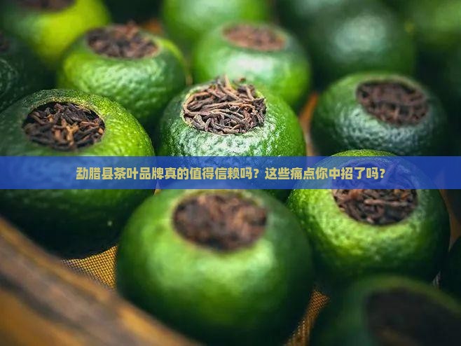 勐腊县茶叶品牌