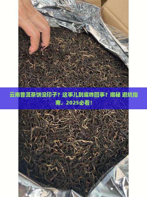 云南普洱茶饼没印子