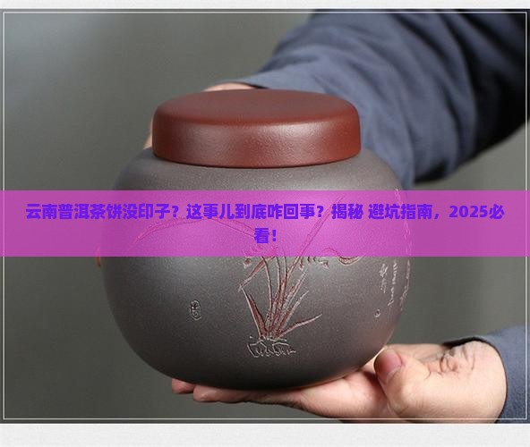 云南普洱茶饼没印子