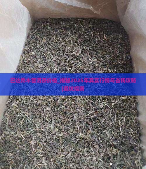 巴达乔木普洱茶价格