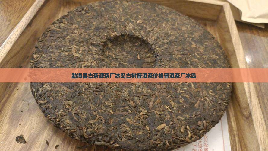 勐海县古茶源茶厂冰岛母树