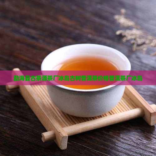 勐海县古茶源茶厂冰岛母树