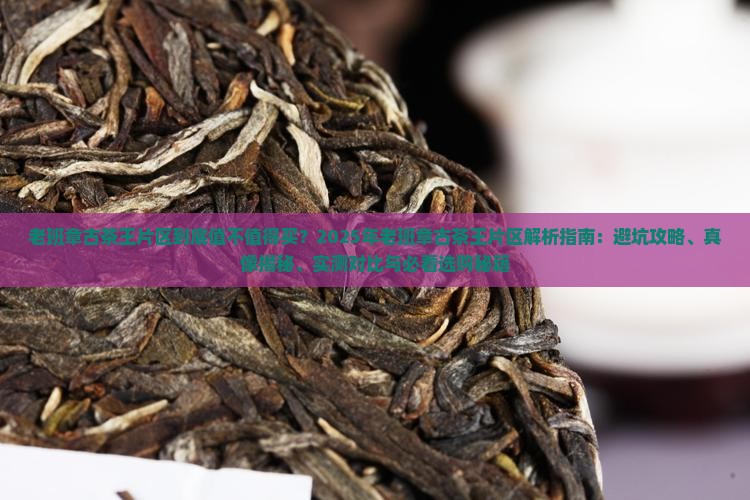 老班章古茶王片区