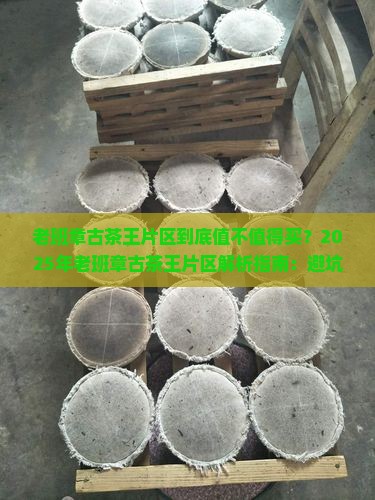 老班章古茶王片区