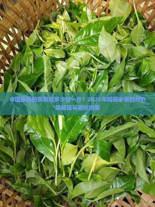 中国最贵的茶多少一斤