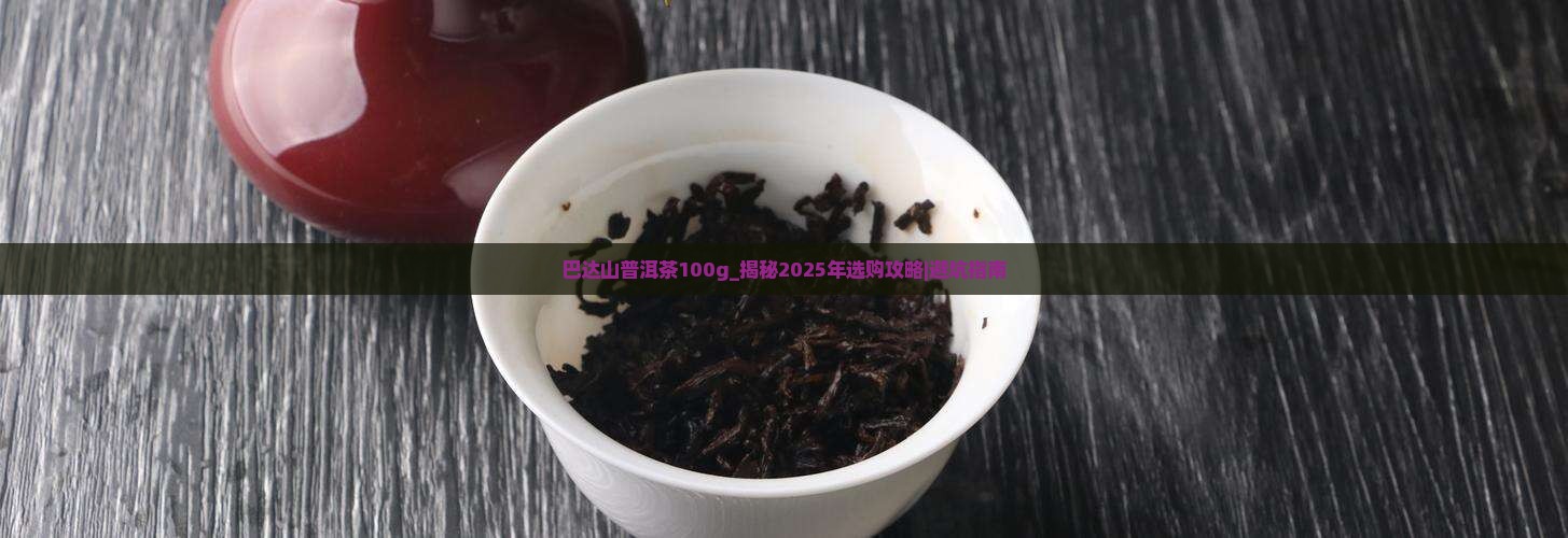 巴达山普洱茶100g