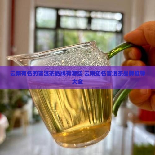 云南有名的普洱茶品牌有哪些