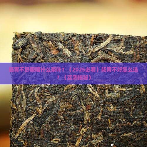 肠胃不好喝什么茶叶