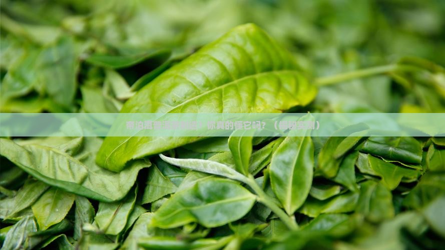 帝泊洱普洱茶制造