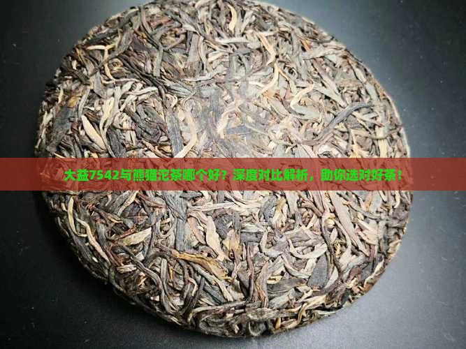大益7542与熊猫沱茶哪个好