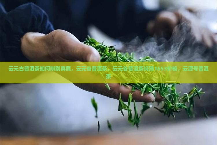 云元古普洱茶如何