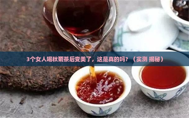 秋菊茶的功效与作用