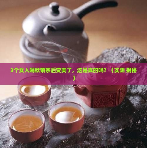 秋菊茶的功效与作用