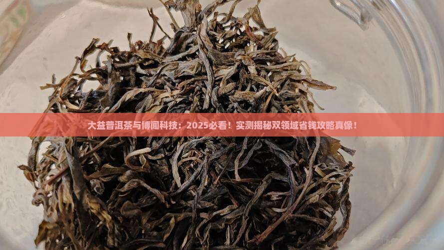 大益普洱茶与博闻科技