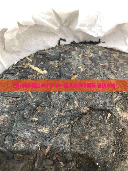 普洱茶四斤鲜叶出多少干茶