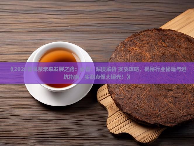 普洱茶未来发展之路