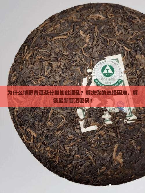 博野普洱茶分类