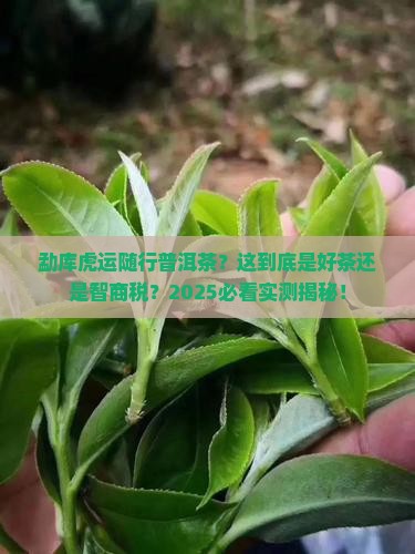 勐库虎运随行普洱茶