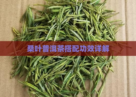 桑叶藕叶蒲公英普洱茶