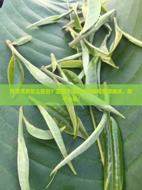 熟普洱茶怎么密封