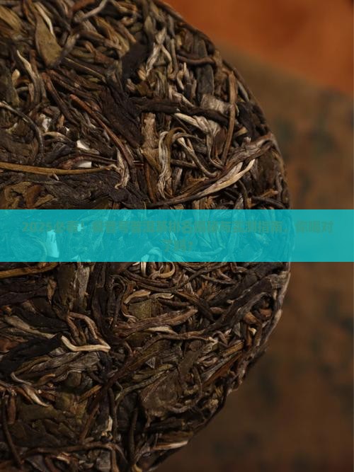 极普号普洱茶排名